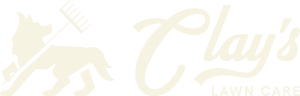 Primary-Cream-web