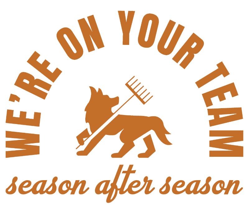 season-after-season-no-bg-orange